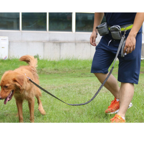 Adjustable Hands Free Dog Leash - Image 8