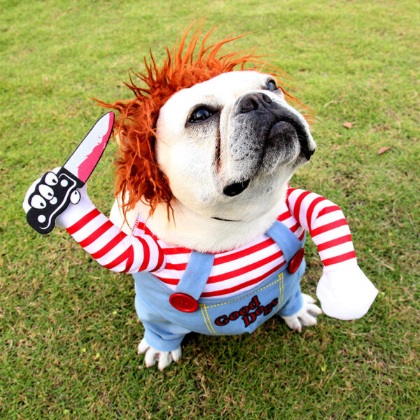 Halloween Funny Pet Costume. - Image 9