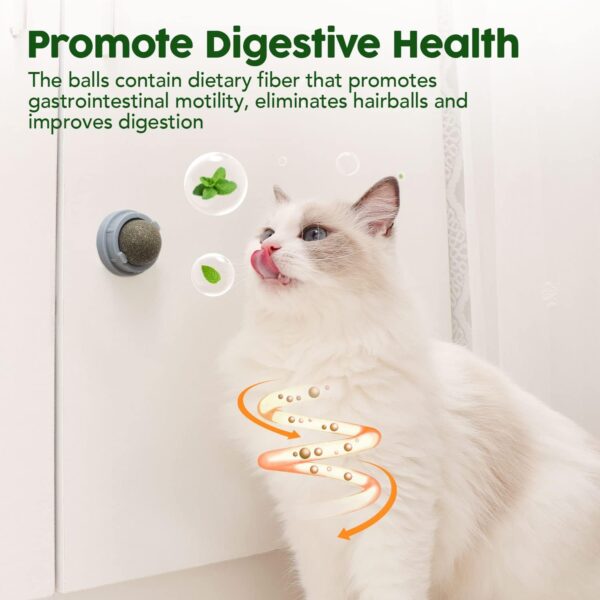 Potaroma 4 Catnip Silvervine Ball Toys, Extra Cat Energy Ball, Edible Cats Lick Kitten Chew, Teeth Cleaning Dental Wall Treats, Concentrated Flavor for All Breeds  Pet SuppliesRufus AIRufus AI - Image 23