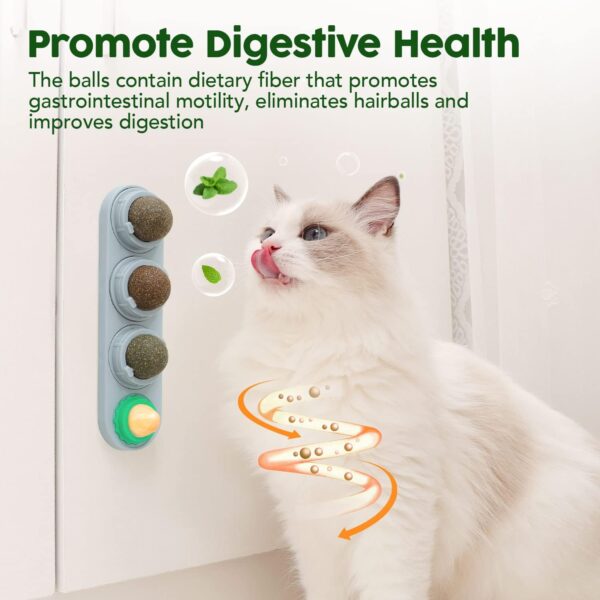 Potaroma 4 Catnip Silvervine Ball Toys, Extra Cat Energy Ball, Edible Cats Lick Kitten Chew, Teeth Cleaning Dental Wall Treats, Concentrated Flavor for All Breeds  Pet SuppliesRufus AIRufus AI - Image 11