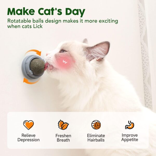 Potaroma 4 Catnip Silvervine Ball Toys, Extra Cat Energy Ball, Edible Cats Lick Kitten Chew, Teeth Cleaning Dental Wall Treats, Concentrated Flavor for All Breeds  Pet SuppliesRufus AIRufus AI - Image 22