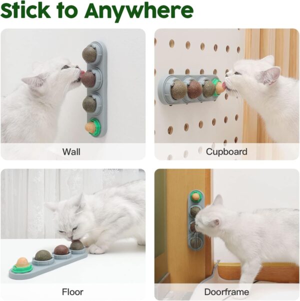 Potaroma 4 Catnip Silvervine Ball Toys, Extra Cat Energy Ball, Edible Cats Lick Kitten Chew, Teeth Cleaning Dental Wall Treats, Concentrated Flavor for All Breeds  Pet SuppliesRufus AIRufus AI - Image 12
