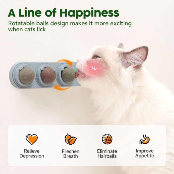Potaroma 4 Catnip Silvervine Ball Toys, Extra Cat Energy Ball, Edible Cats Lick Kitten Chew, Teeth Cleaning Dental Wall Treats, Concentrated Flavor for All Breeds  Pet SuppliesRufus AIRufus AI - Image 10
